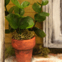 Simple DIY Dollhouse Plant Tutorial