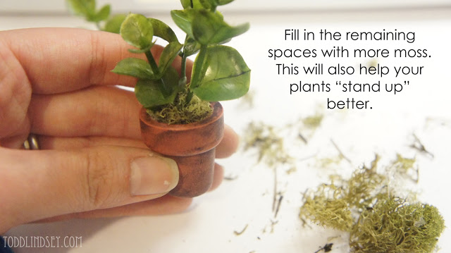 Simple Mini Plant Tutorial